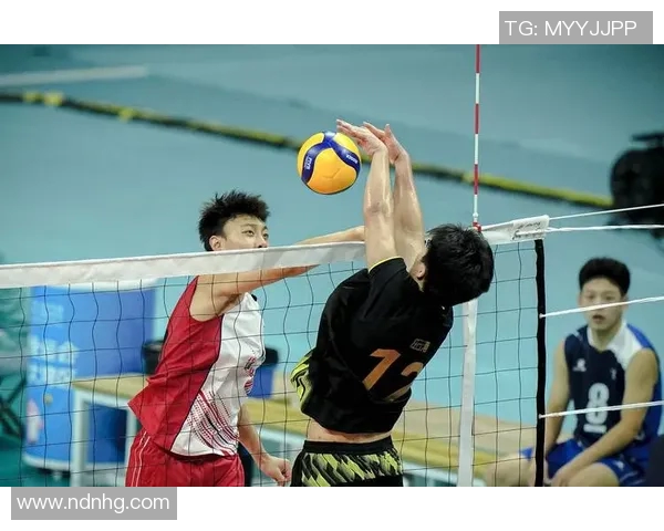 聚焦排球:重庆排球队的配合话题