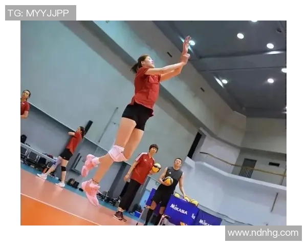 南京排球队的灵活性探讨与训练策略分析