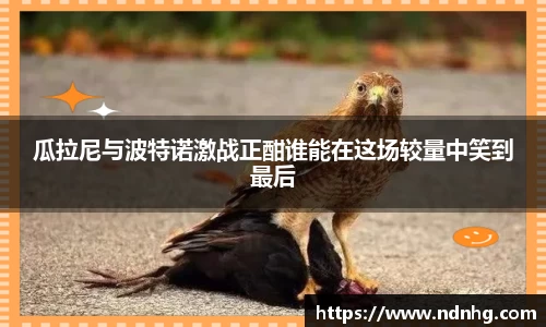 k1体育官方网站